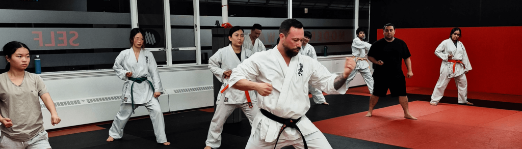 Adults Karate Karate lessons